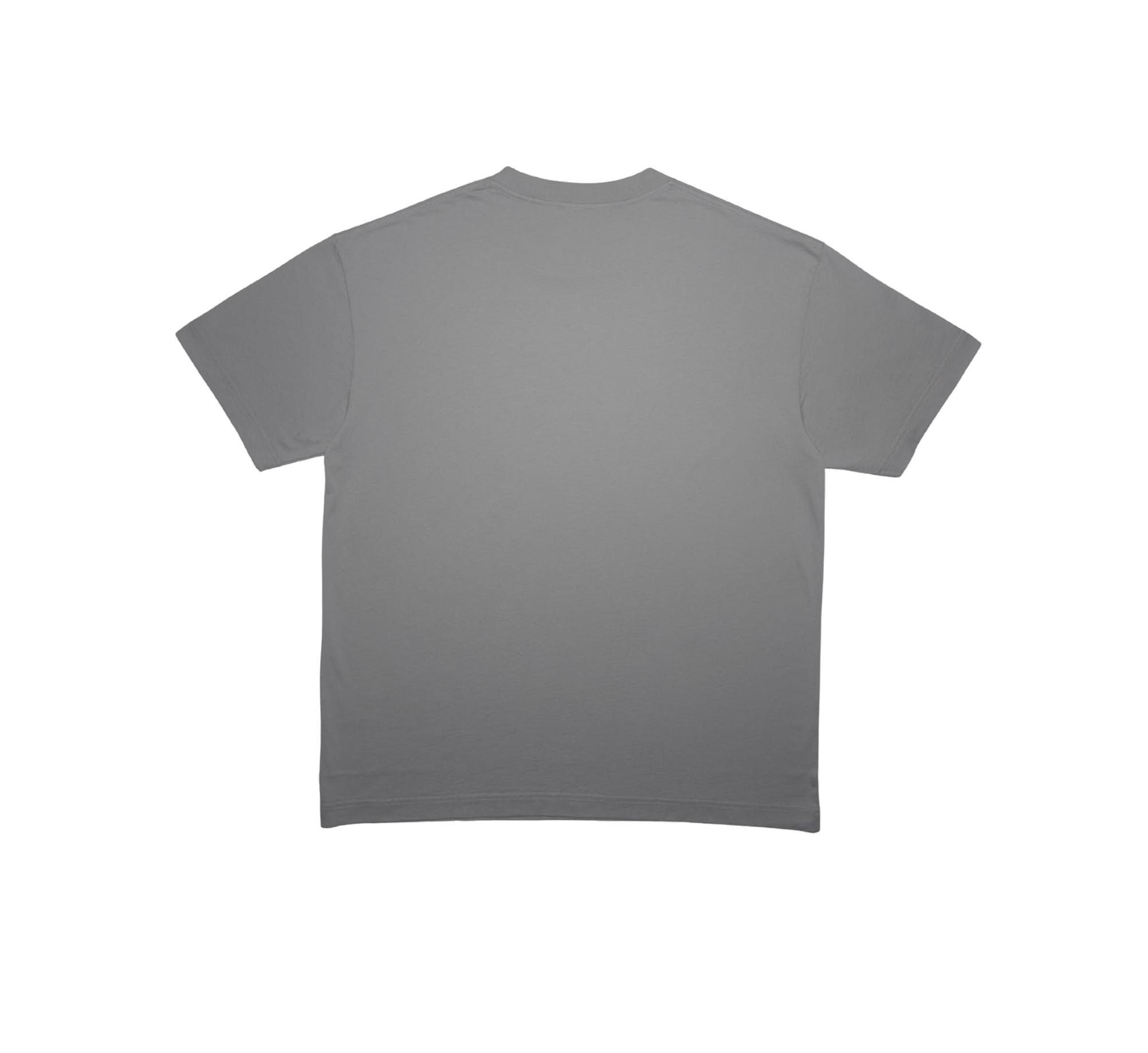 Timeless Tee (Moonstone Grey)